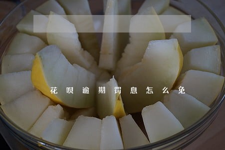 花呗逾期罚息怎么免 花呗逾期罚息怎么免