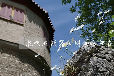 花呗逾期罚息明细账单在哪里 花呗逾期罚息明细账单在哪里