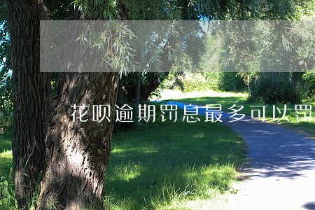 花呗逾期罚息最多可以罚多少 花呗逾期罚息最多可以罚多少