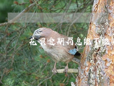 花呗逾期罚息能不能减免 花呗逾期罚息能不能减免