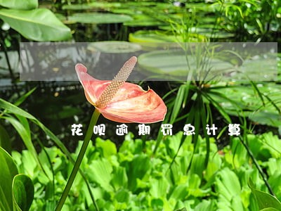 花呗逾期罚息计算 花呗逾期罚息计算
