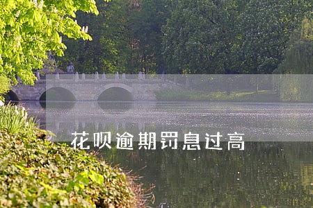 花呗逾期罚息过高 花呗逾期罚息过高