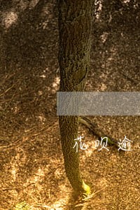花呗逾期罚息违法吗 花呗逾期罚息违法吗