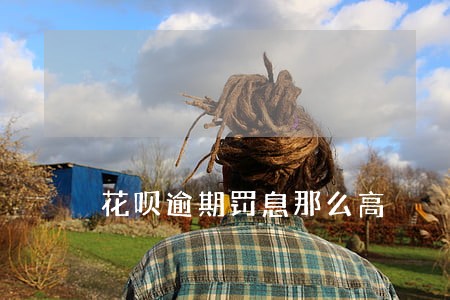 花呗逾期罚息那么高 花呗逾期罚息那么高