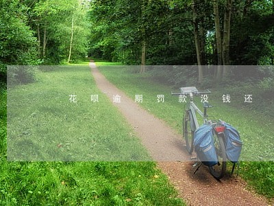 花呗逾期罚款没钱还