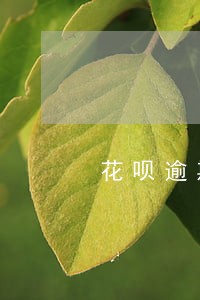花呗逾期罚款率 花呗逾期罚款率