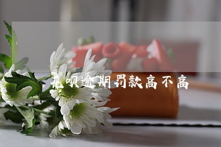 花呗逾期罚款高不高