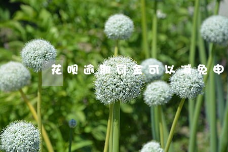 花呗逾期罚金可以减免申请 花呗逾期罚金可以减免申请
