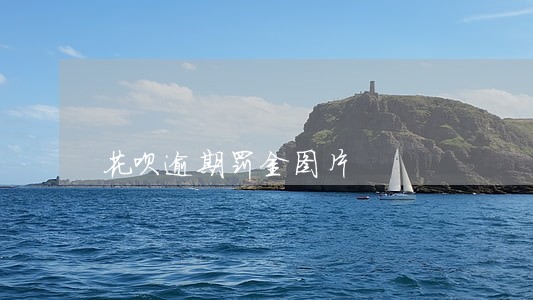 花呗逾期罚金图片 花呗逾期罚金图片