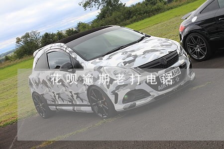 花呗逾期老打电话