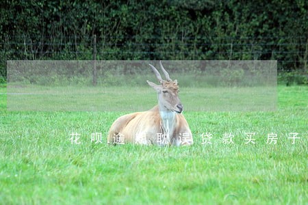 花呗逾期耽误贷款买房子吗 花呗逾期耽误贷款买房子吗