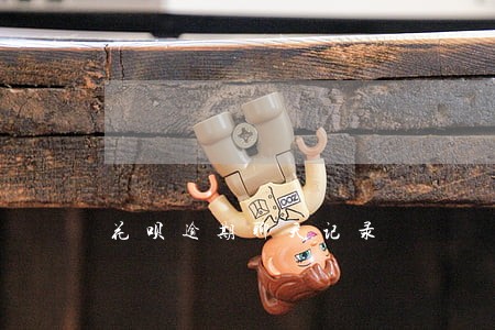 花呗逾期聊天记录 花呗逾期聊天记录