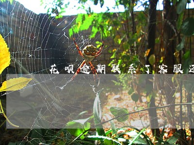 花呗逾期联系了客服还要准备什么 花呗逾期联系了客服还要准备什么
