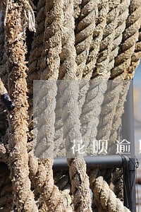 花呗逾期联系人 花呗逾期联系人