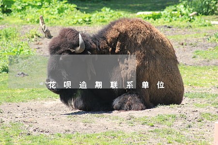 花呗逾期联系单位 花呗逾期联系单位