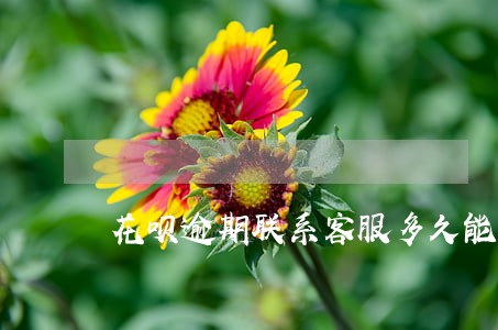 花呗逾期联系客服多久能使用 花呗逾期联系客服多久能使用