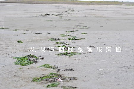 花呗逾期联系客服沟通 花呗逾期联系客服沟通