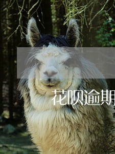 花呗逾期联系客服电话是多少钱 花呗逾期联系客服电话是多少钱