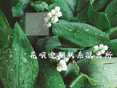 花呗逾期联系派出所 花呗逾期联系派出所