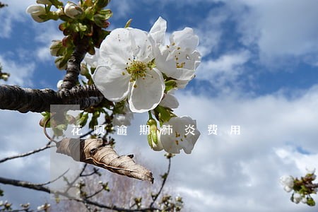 花呗逾期肺炎费用 花呗逾期肺炎费用