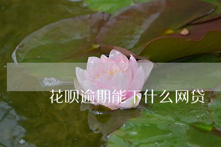 花呗逾期能下什么网贷 花呗逾期能下什么网贷