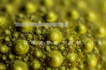 花呗逾期能下款的714 花呗逾期能下款的714