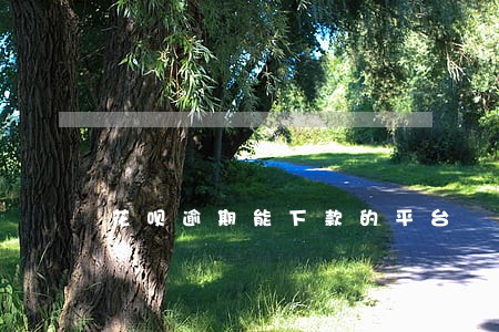花呗逾期能下款的平台 花呗逾期能下款的平台