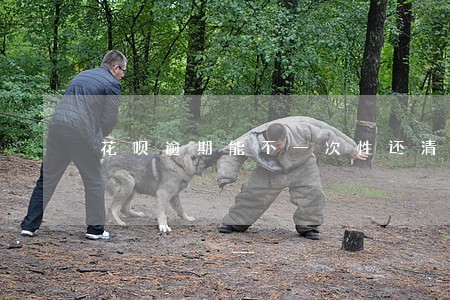 花呗逾期能不一次性还清吗 花呗逾期能不一次性还清吗