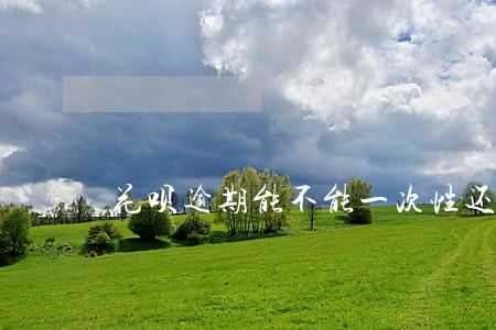 花呗逾期能不能一次性还清 花呗逾期能不能一次性还清