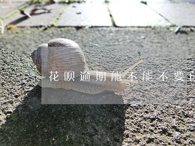 花呗逾期能不能不要自动扣款 花呗逾期能不能不要自动扣款