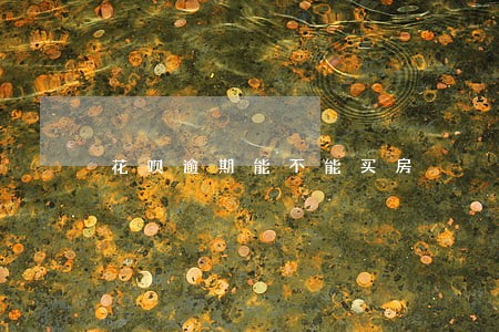 花呗逾期能不能买房 花呗逾期能不能买房