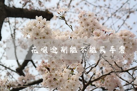 花呗逾期能不能买车票 花呗逾期能不能买车票