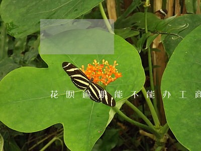 花呗逾期能不能办工商信用卡 花呗逾期能不能办工商信用卡