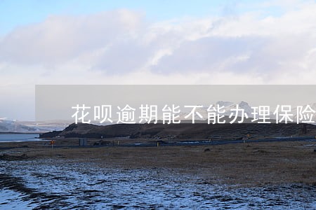 花呗逾期能不能办理保险 花呗逾期能不能办理保险
