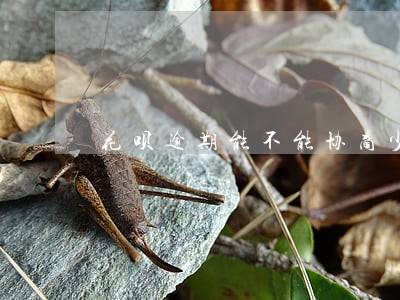 花呗逾期能不能协商少还点 花呗逾期能不能协商少还点