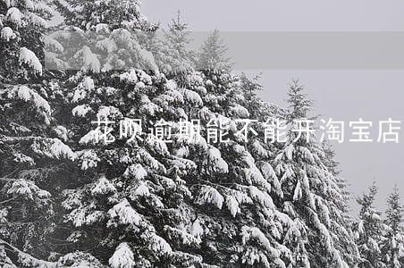 花呗逾期能不能开淘宝店 花呗逾期能不能开淘宝店