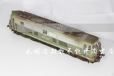 花呗逾期能不能开淘宝店铺 花呗逾期能不能开淘宝店铺