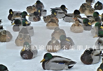 花呗逾期能不能朋友代还 花呗逾期能不能朋友代还