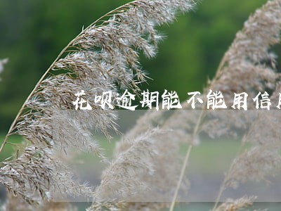 花呗逾期能不能用信用卡还 花呗逾期能不能用信用卡还