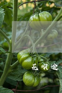 花呗逾期能修复好吗 花呗逾期能修复好吗