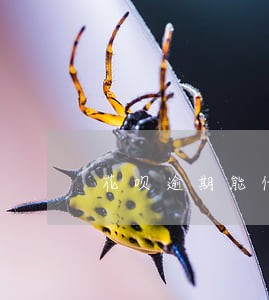 花呗逾期能借到钱的网贷平台 花呗逾期能借到钱的网贷平台