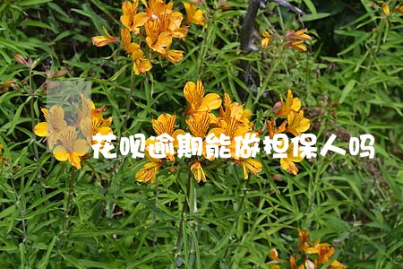 花呗逾期能做担保人吗 花呗逾期能做担保人吗