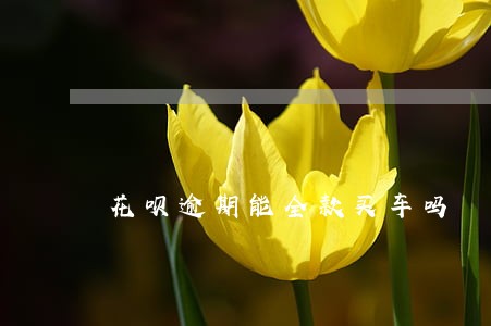 花呗逾期能全款买车吗 花呗逾期能全款买车吗