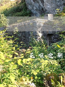 花呗逾期能分期付款手机吗 花呗逾期能分期付款手机吗