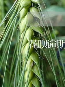 花呗逾期能分期手机么 花呗逾期能分期手机么