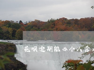 花呗逾期能办个人营业执照吗 花呗逾期能办个人营业执照吗