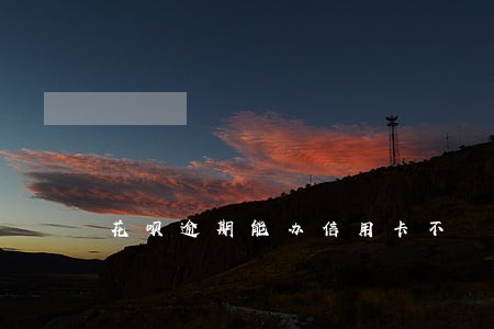 花呗逾期能办信用卡不