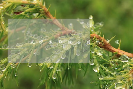 花呗逾期能办信用卡呢