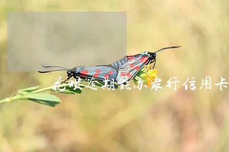 花呗逾期能办农行信用卡吗 花呗逾期能办农行信用卡吗