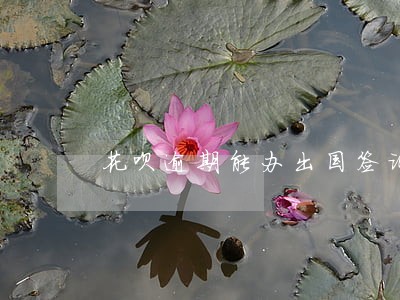 花呗逾期能办出国签证吗 花呗逾期能办出国签证吗